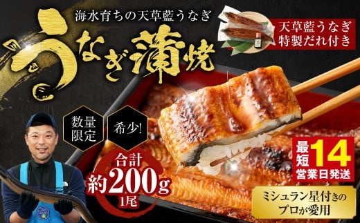 【ミシュラン星付きのプロが愛用】1日10セット限定!海水育ちの天草藍うなぎ 蒲焼き 1尾セット【合計約200g】 数量限定!! 鰻 ウナギ うなぎ うなぎ蒲焼 鰻の蒲焼 うなぎ 国産熊本県上天草市1