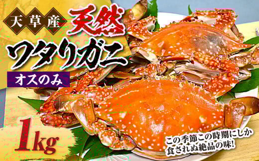 VY VR^Kj IX̂ 1kg 3`6t ^Kj nI I  Jj Ⓚ F{ VsF{Vs18000ECYJj