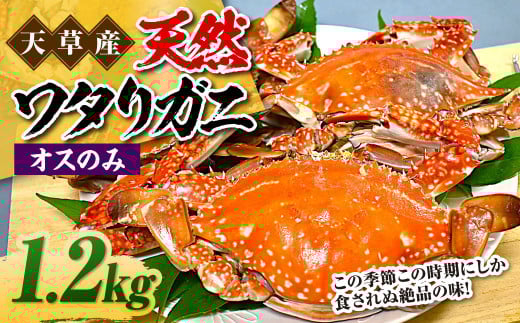 VY VR^Kj IX̂ 1.2kg 3`6t ^Kj nI I  Jj Ⓚ F{ VsF{Vs20000ECYJj