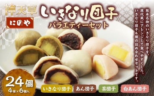 熊本上天草 にのやのいきなり団子バラエティーセット 4種×各6個 合計24個 いきなりだんご いきなり団子 だんご 団子 餡子 スイーツ お菓子 和菓子 おやつ デザート 冷凍 熊本県 上天草市熊