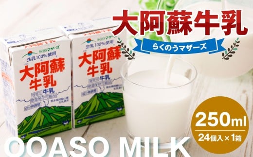 大阿蘇牛乳 250ml×24個入(1箱) 牛乳 ミルク 成分無調整 紙パック パック ロングライフ 長期保存 常温 熊本県 上天草市熊本県上天草市12000卵・乳製品牛乳・乳飲料
