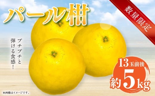 【先行受付】【数量限定】パール柑 約5kg 13玉前後 柑橘 果物 フルーツ 熊本県 上天草市【2026年2月下旬から3月下旬順次発送】熊本県上天草市12000果物・フルーツみかん・柑橘類