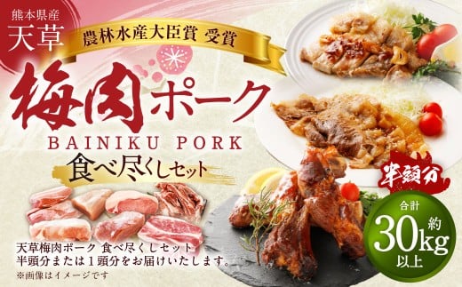 【豚半頭分!】完全無薬!梅肉エキス肥育 熊本県産 天草梅肉ポーク 食べ尽くしセット 半頭 約30kg以上 肉 お肉 豚肉 ポーク 詰め合わせ セット 冷凍 熊本県 上天草市熊本県上天草市500000肉豚