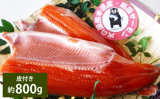 南国サーモン 約800g 皮付き 200g×4個 サーモン 鮭 サケ さけ 刺身 焼き鮭 魚 魚介 冷蔵 熊本県 上天草市 【2026年3月上旬〜4月下旬迄発送予定】熊本県上天草市24000魚介・海産物鮮魚
