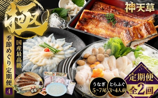 y2ցzyɁzG߂߂4 ӂ tO ͓ Ƃӂ gtO Ă Ă Ȃ EiM V F{ VsF{Vs116000ECYN