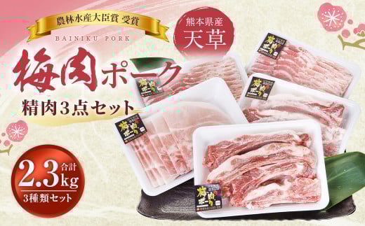 iԒjSI ~GLX V~|[N 3_Zbg 2.3kg ē o[xL[ BBQ ؃o  XyAu   ؓ Ⓚ lߍ킹 Hה Zbg F{ V