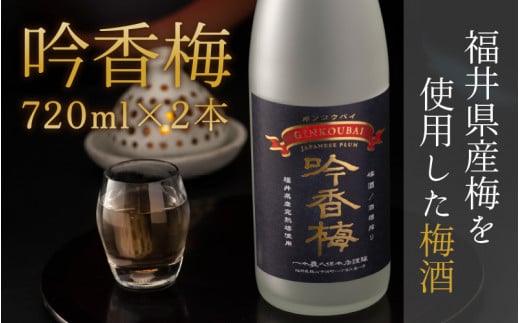 䌧Y~gp~@ፁ~(720ml×2{) [A-008036]䌧Rs12000EAR[Ē