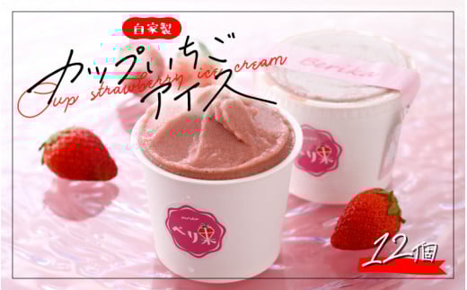 ƐJbvACX 12 [A-045001]䌧Rs32000َqEXC[cACXEWF[g