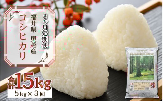 y3Aցzߘa7NY 䌧YzRVqJ5kg ×1܁i5kg × 3j [F-015046]䌧Rs61000āEp
