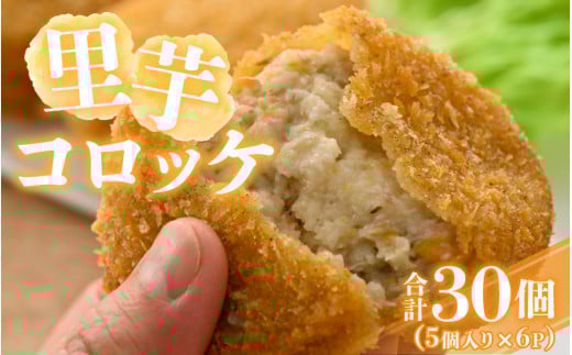 RbP 5×6P [A-037008]䌧Rs10000ZbgE؁EHHi