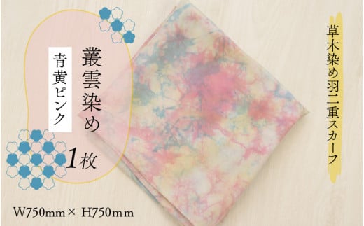 ؐ߉HdXJ[t sN p_ [A-053006]䌧Rs16000ߗށEiEH|ȋ iEH|i