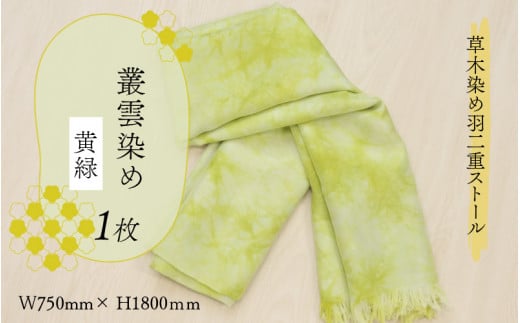 ؐ߉HdXg[  p_ [C-053001]䌧Rs33000ߗށEiEH|ȋ iEH|i