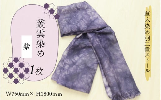 ؐ߉HdXg[  p_ [C-053003]䌧Rs33000ߗށEiEH|ȋ iEH|i