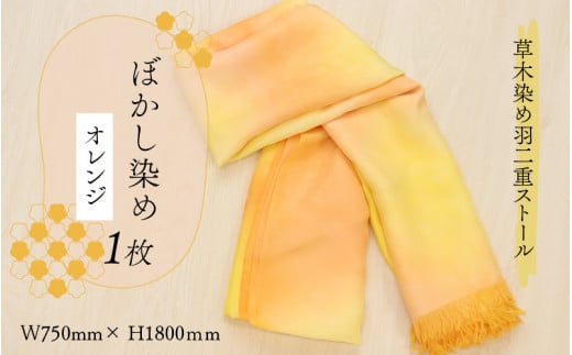 ؐ߉HdXg[ IW ڂ [C-053005]䌧Rs33000ߗށEiEH|ȋ iEH|i