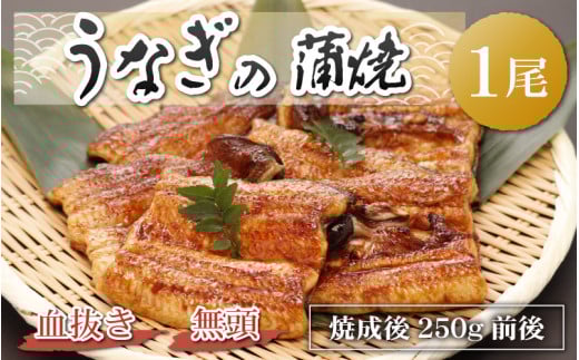 Ȃ̊āij Đ250gO×1 | Y [A-044002]䌧Rs13000ECYȂ