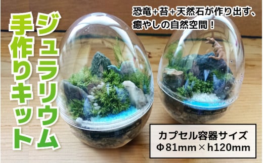{ہ{VR΂oA₵̎RԁI WELbg [B-070001]䌧Rs25000ߗށEiEH|ȋ iEH|i