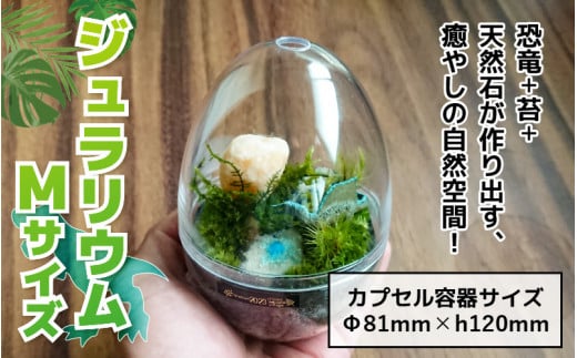 {ہ{VR΂oA₵̎RԁI WE MTCY [A-070002]䌧Rs15000ߗށEiEH|ȋ iEH|i
