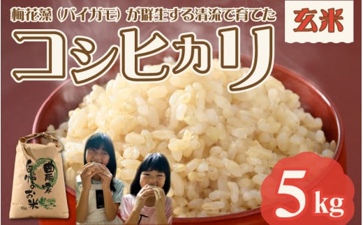 ߘa7NY ~ԑQ鐴ňĂRVqJi 5kgj 2025N9{ȍ~\ [A-040026]䌧Rs12000āEp