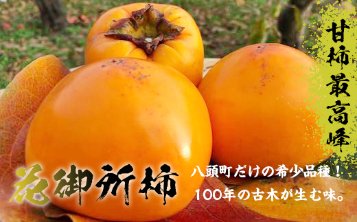 【2025年発送】樹齢100年の古木から採れる花御所柿鳥取県八頭町15000果物・フルーツその他 果物・フルーツ