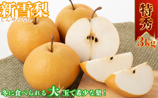 Vᗜ(G) 3kg挧14000ʕEt[c񂲁E