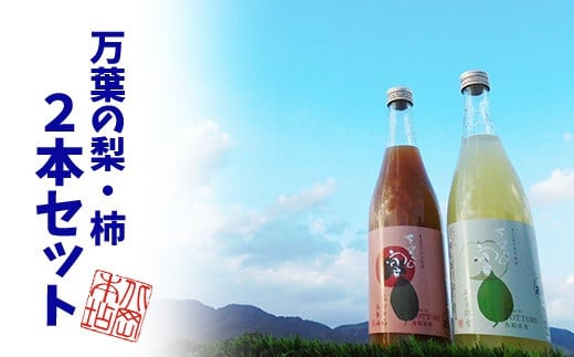 鳥取県産梨・柿リキュール「万葉の宴」2本セット鳥取県八頭町13000酒・アルコールウイスキー・洋酒・リキュール