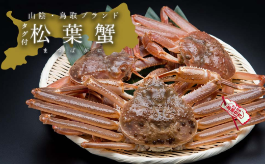 【活き】タグ付き松葉ガニ 中 2枚(500〜640g前後/枚)鳥取県八頭町80000魚介・海産物カニ