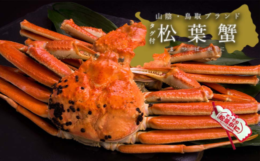 【蒸し】タグ付き松葉ガニ 中 2枚(500〜640g前後/枚)鳥取県八頭町80000魚介・海産物カニ