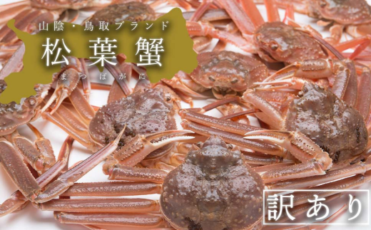 【活き】訳あり松葉ガニ 中 3枚(500〜640g前後/枚)鳥取県八頭町100000魚介・海産物カニ