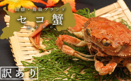 【蒸し】訳あり足折れ日本海産親ガニ(セコガニ) 3枚鳥取県八頭町16000魚介・海産物カニ