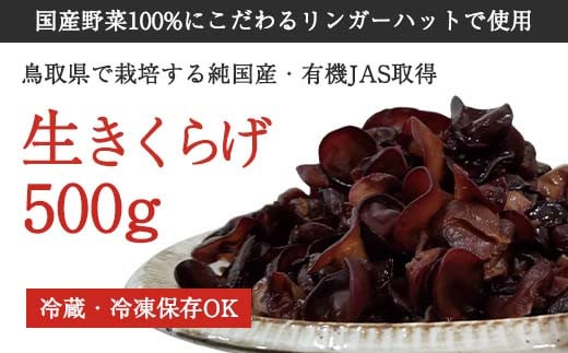 純国産生きくらげ500g鳥取県八頭町13000野菜・きのこきのこ