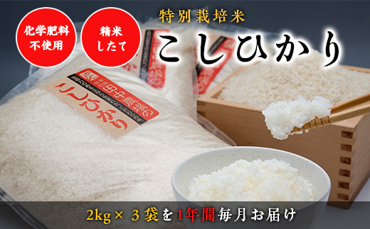 【令和7年産新米】“土づくりの恵み” つやっつやの特別栽培米お届け 12ヶ月コース【令和7年10月以降発送】鳥取県八頭町219000米・パン白米