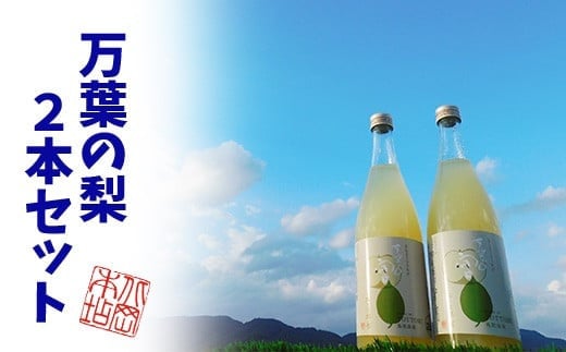 鳥取県産梨リキュール「万葉の宴」2本セット鳥取県八頭町13000酒・アルコールウイスキー・洋酒・リキュール