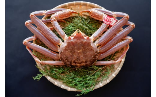 【活生】松葉ガニ 1kg タグ付鳥取県八頭町113000魚介・海産物カニ