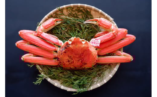 【ボイル】 松葉ガニ 350〜440g級 ブランドタグ付鳥取県八頭町32000魚介・海産物カニ