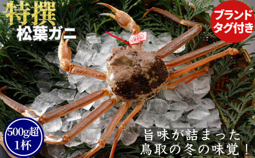 【活物】特撰 松葉がに(タグ付き)400g超 お手頃サイズ 2杯鳥取県八頭町99000魚介・海産物カニ