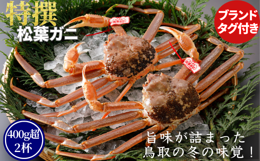 【活物】特撰 松葉がに(タグ付き)600g超の大きいサイズ 食べ応えあり 2杯鳥取県八頭町152000魚介・海産物カニ