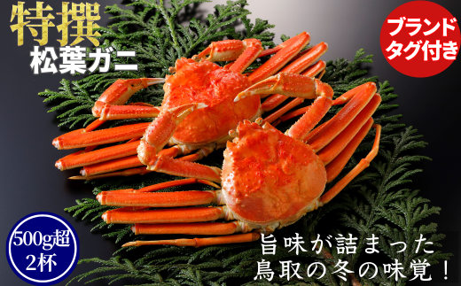 【ボイル】特撰 松葉がに(タグ付き)600g超の大きいサイズ 食べ応えあり 3杯鳥取県八頭町223000魚介・海産物カニ