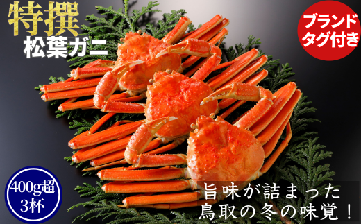 【ボイル】特撰 松葉がに(タグ付き)800g超の大きいサイズ 特大3杯鳥取県八頭町324000魚介・海産物カニ