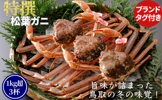 【活物】特撰 松葉がに(タグ付き)1kg超の大きいサイズ 特大3杯鳥取県八頭町404000魚介・海産物カニ