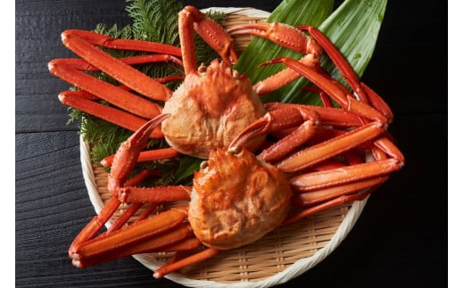 【ボイル】紅ズワイガニ 1.2kg(約400g×3枚)鳥取県八頭町36000魚介・海産物カニ