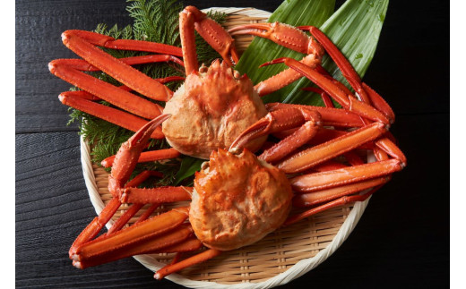 y{Cz󂠂gYCKj 1kg(500g×2)挧24000ECYJj