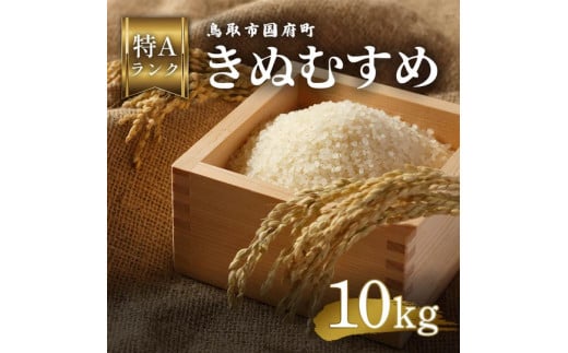 鳥取県産 きぬむすめ 令和7年度産 精米済 10kg(5kg×2袋)鳥取県八頭町31000米・パン白米