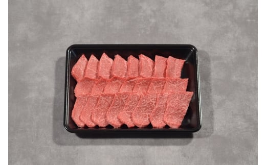 a Ԑgvē 1kgi500g×2j挧46000