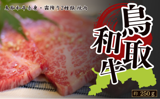 鳥取和牛赤身&霜降り 焼肉用 約250g鳥取県八頭町23000肉牛肉