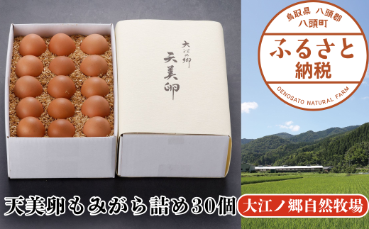 yzV݂l30yzs]mRq蒼t挧15000Eii{AG{j