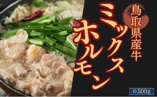 鳥取県産牛ミックスホルモン 約500g鳥取県八頭町20000肉牛肉