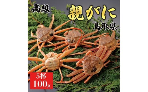 yzeKj(ZRKj) 100g@5t挧26000ECYJj