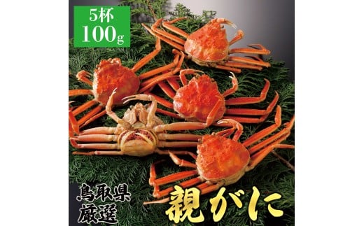 y{CzeKj(ZRKj) 100g@5t挧26000ECYJj