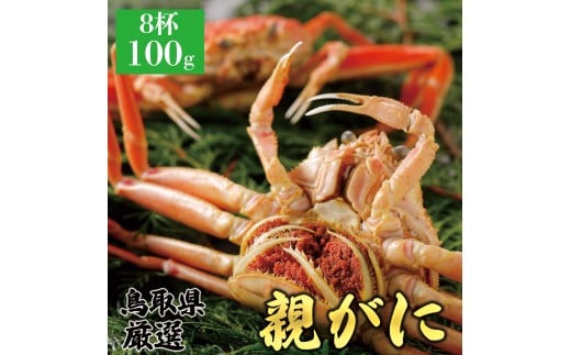y{CzeKj(ZRKj) 100g@8t挧33000ECYJj