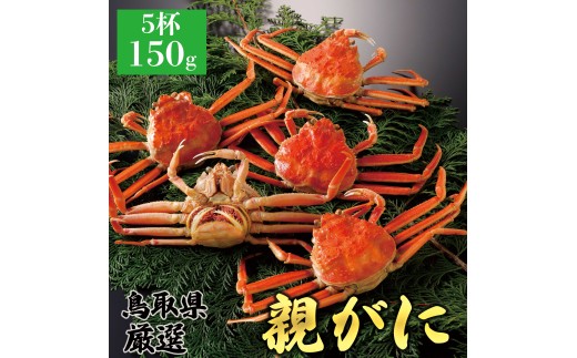 【ボイル】親ガニ(セコガニ) 150g 5杯鳥取県八頭町37000魚介・海産物カニ